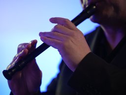 VI Festival Santa Brígida - Fotos Jesús Monroy